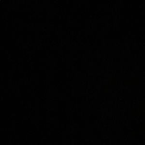 Meet your Posher, Ava